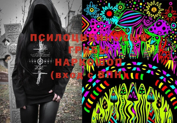 амф Балахна