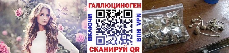 Галлюциногенные грибы Cubensis закладка Топки